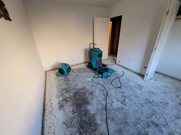 Best Flood restoration services  in Fair Oaks, GA