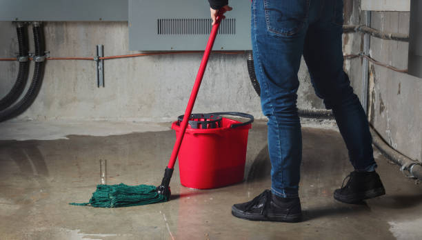 Best Local water damage restoration  in Fair Oaks, GA