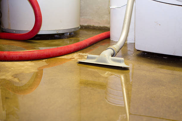 Best Basement water damage restoration  in Fair Oaks, GA